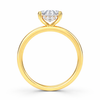 Oval Hidden Halo