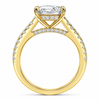 Cathedral Elongated Cushion Hidden Halo with Diamond Bridge