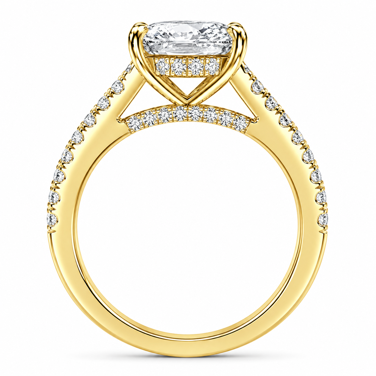 Cathedral Elongated Cushion Hidden Halo with Diamond Bridge